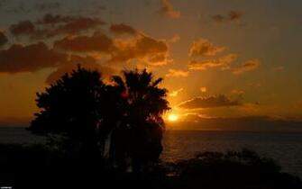 To Wallpaper Just Right Click On Pictures And Select Save