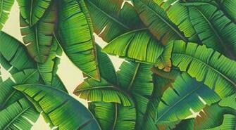 Degournay Wallpaper