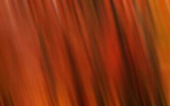 Back Gallery For Abstract Fall Wallpaper
