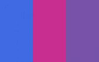 Royal Blue Web Fuchsia And Purple Three Color Background