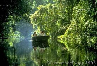 Wallpaper Beautiful Nature And Sweet