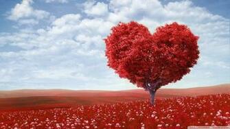 Theme Full HD Widescreen Type Wallpaper For