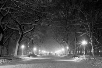Central Park Fine Art Photography Prints