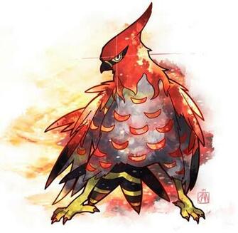 Talonflame Pok Mon Know Your Meme