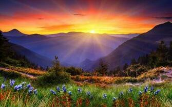 Scenic Background On