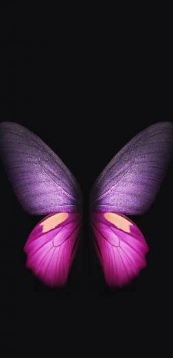 Samsung Galaxy Fold Wallpaper QHD Official