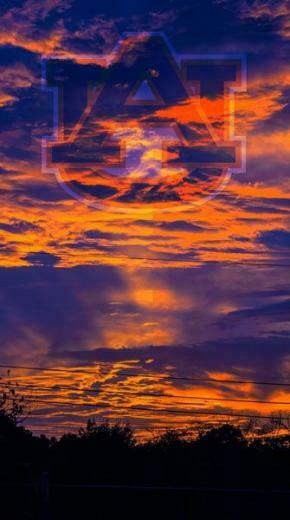 Auburn Football Beautiful Orange N Blue Oh My Goodness