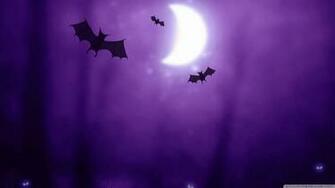 Night Halloween Moon Purple Silhouette Drawings Bats Wallpaper