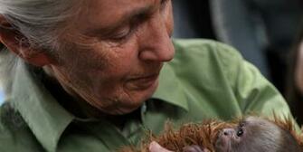 Jane Goodall Known People Famous News And