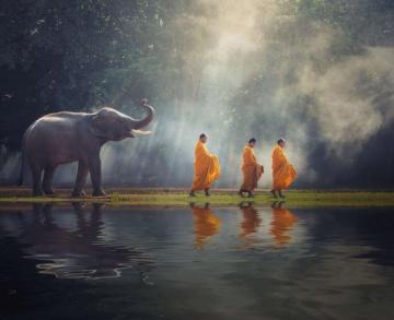 Elephant And Buddhists Photo Wallpaper