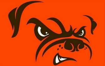 The New Color Scheme For Cleveland Browns Can Be Best Qualified As