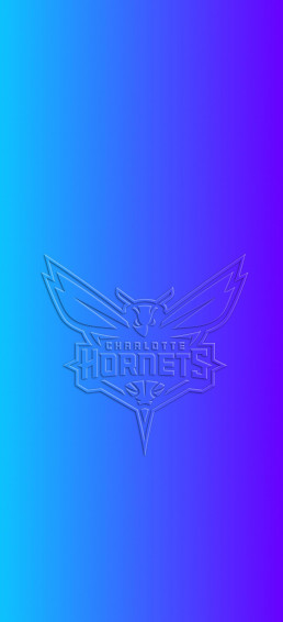 Charlotte Hornets 3d Wallpaper Nba Basketball