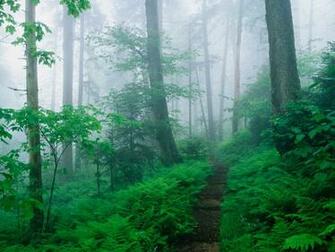 Foggy Ridge Smoky Mountains Tennessee Wallpaper Hq