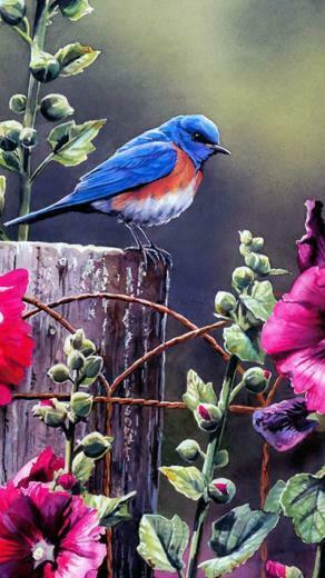 Spring Blue Bird Illustration Flowers Android Wallpaper