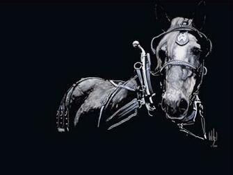 All World Wallpaper Black And White Horse