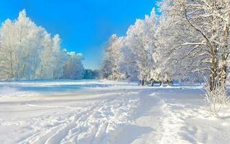4k Ultra HD Irresistible Wallpaper Winter