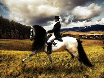 Fonds D Cran Dressage Tous Les Wallpaper