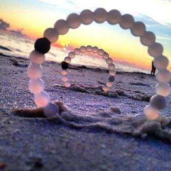 Lokai Never Looked This Good Babies Puppies And Kitties Oh