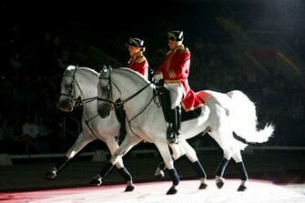 Dressage Wallpaper