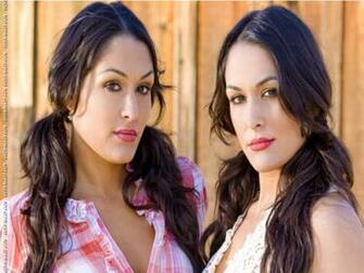 Url Wwe Desivalley Brie Bella And Nikki Wallpaper
