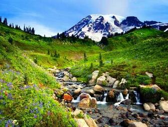 Mountain Wildflowers Wallpaper