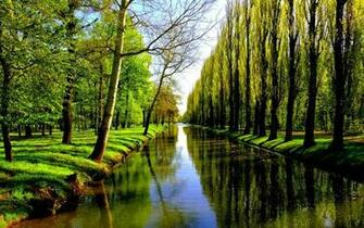 Backwater River Rivi Re Blackwater Wallpaper