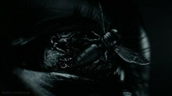 The Girl With Dragon Tattoo Wallpaper Background