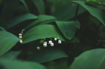 Peaceful Relaxing Wallpaper