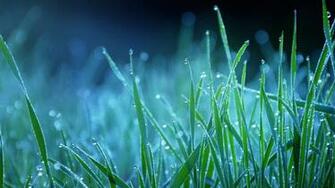 Monsoon Amp Rain Drops Image Collection Quotes