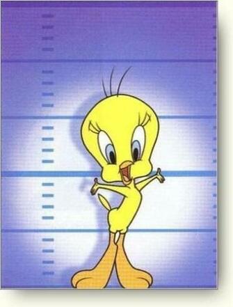 Tweety Bird Photo