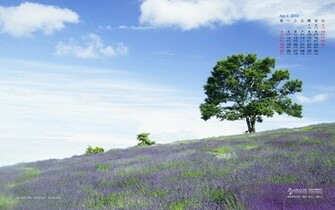 Relaxing Desktop Wallpaper