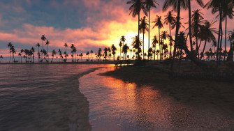 Palm Trees Sunset Sea 1440p Resolution HD 4k Wallpaper
