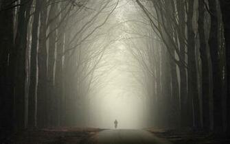 Foggy Road In Autumn Wallpaper