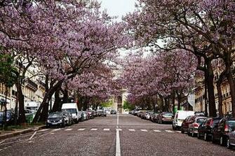 France In Spring Festivals Events Travel Tips Things To