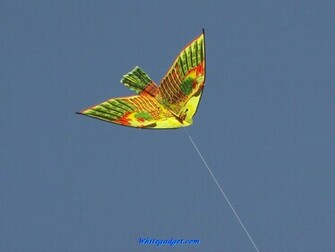 91744d1325657949 Kite Wallpaper Jpg