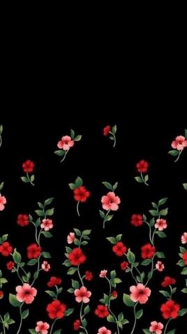 Cute Red Flower Wallpaper On