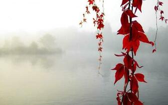 Fairyland HD Natural Scenery Wallpaper World