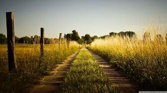 Country Background Image Road Late Summer Wallpaper