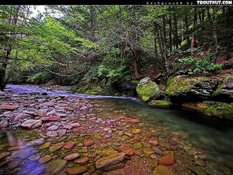 Trout Fishing Wallpaper Desktop Background