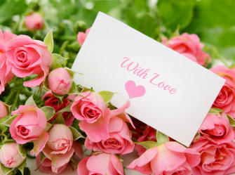 Love Rose Picture Wallpaper