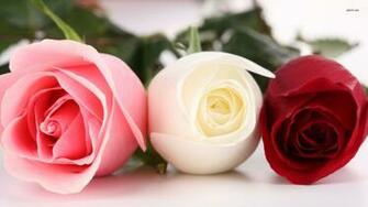 Pink And White Floral Wallpaper HD Base