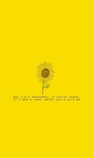 Poema De Sierra Burgess Es Una Loser Wallpaper En