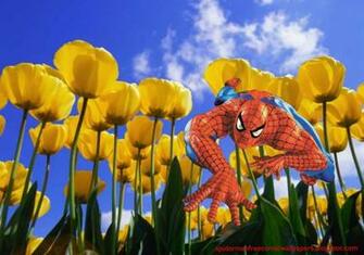 Definition Wallpaper Photo Superhero Html