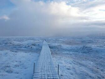 Arctic Tundra Wallpaper Pixshark Image