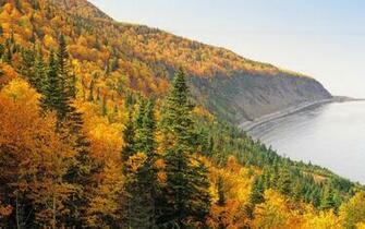 Autumn Desktop Wallpaper Background