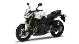 Yamaha Fz8 Front Quarter