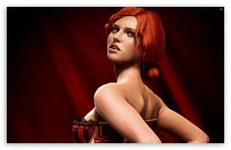 The Witcher Assassins Of Kings HD Wallpaper For Standard