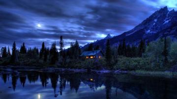 Living Wallpaper On