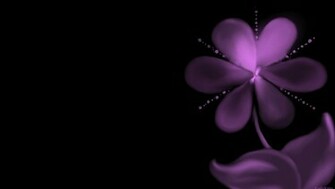 Cool Wallpaper Mauve