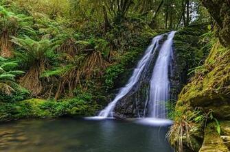 Awesome Australian Bush Wide High Resolution Wallpaper